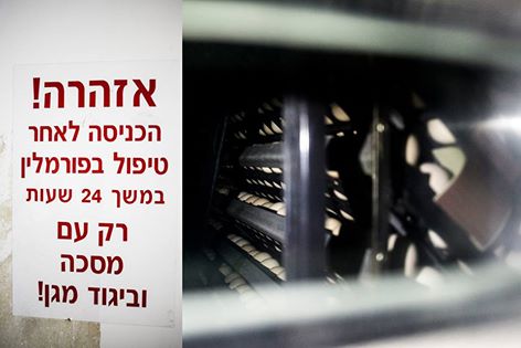 חומרים רעילים בעוף