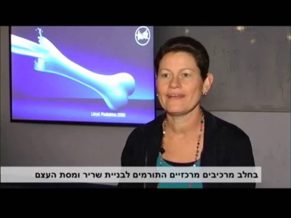 פרופ' נעמה קונסטנטיני